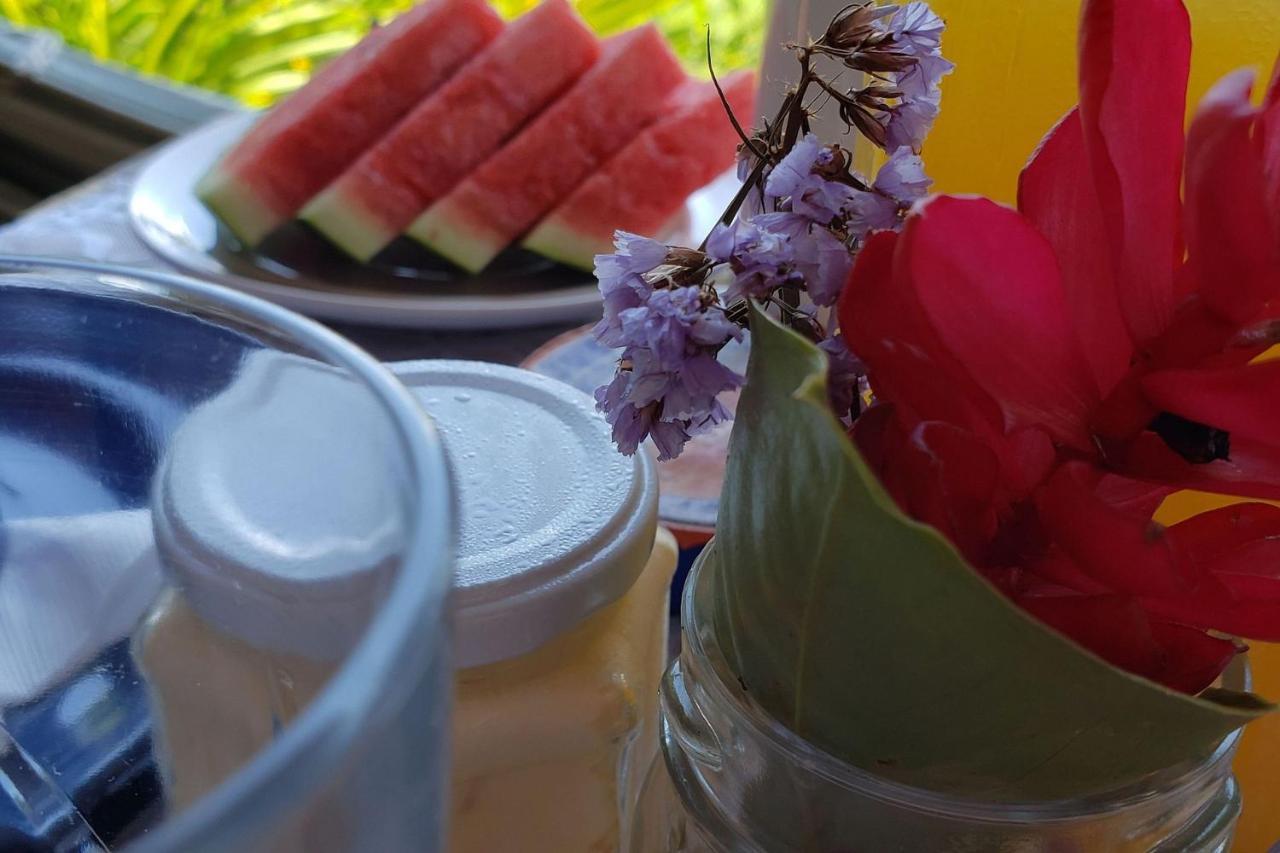 Elephant Guesthouse Beira Mar - Suites Com Cafe Da Manha 伊利亚贝拉 外观 照片