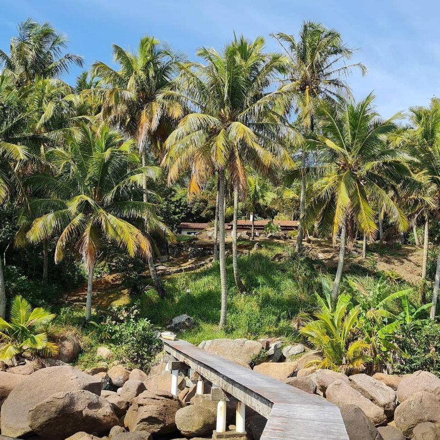 Elephant Guesthouse Beira Mar - Suites Com Cafe Da Manha 伊利亚贝拉 外观 照片